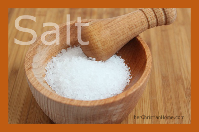 salt-ideas.png