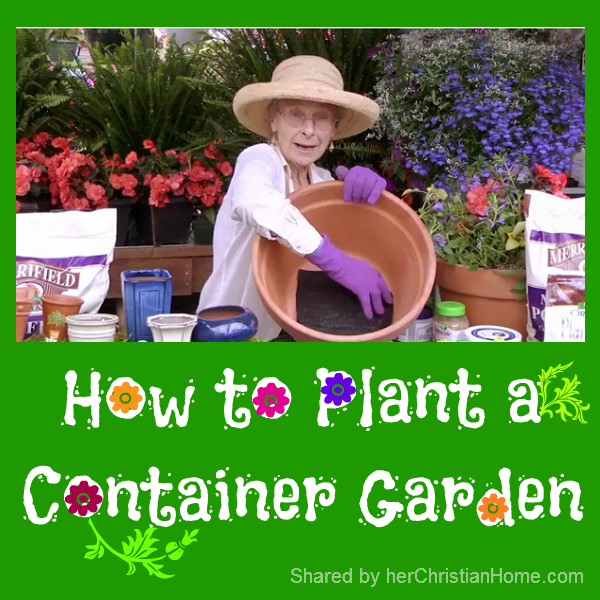 how-to-plant-container-garden