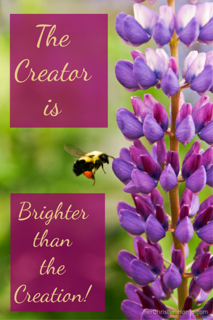 the-Creator-quote
