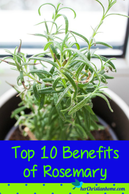 top 10 beneifs of rosemary