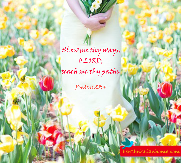 shew-me-thy-ways-psalms-25-4