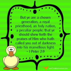 But ye are a chosen generation I Peter 2 9