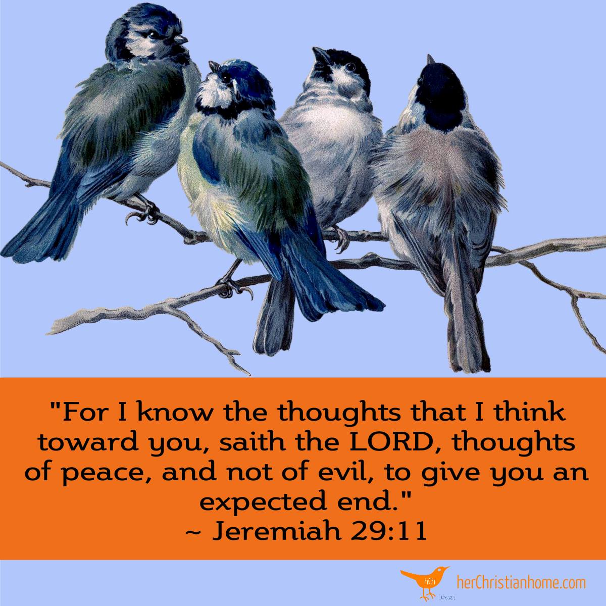 For I know the thoughts that I think toward you Jeremiah 29 11 - birds on tree branch image