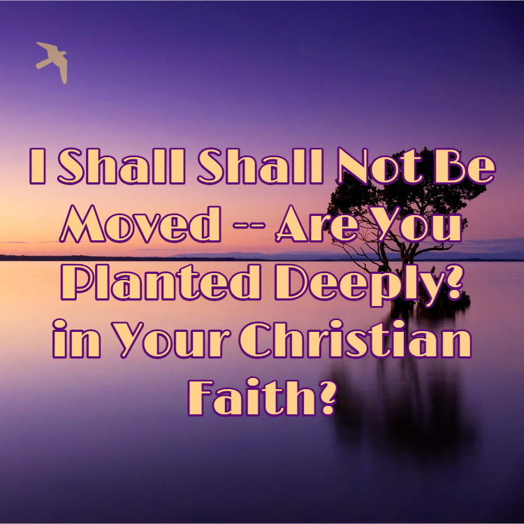 I Shall Not Be Moved Are You Planted Deeply In Your Christian Faith Herchristianhome