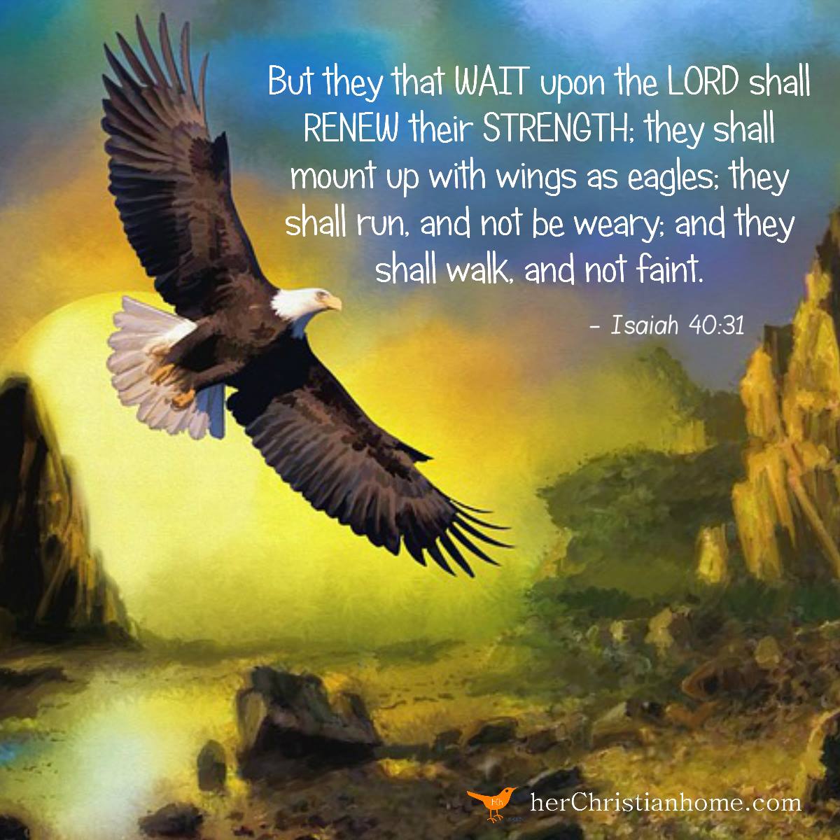 But they that wait upon the Lord Isaiah 40:31 KJV #bibleverses #isaiah #eagle