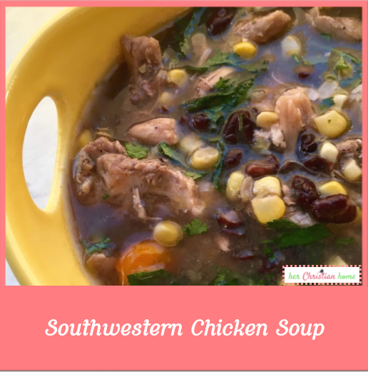 Southwestern Chicken Soup Recipe #chickenrecipes #souprecipes