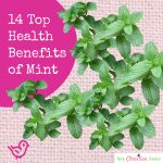 14 Top Health Benefits Of Mint 150x150 