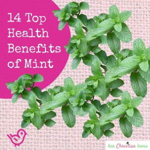 14 Top Health Benefits of Mint #naturalhealthalternatives #mint