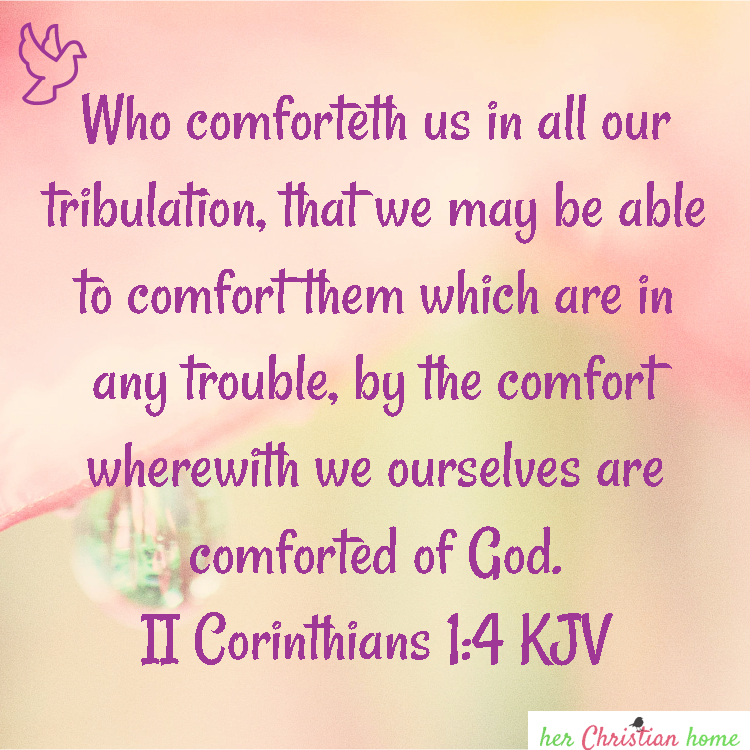 Who comforteth us II Corinthians 1:4 kjv #bibleverses #kjv #comfort