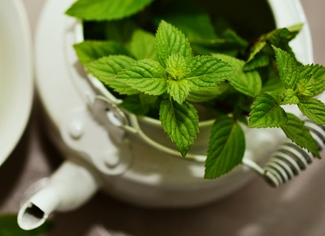 mint helps fight the effects of colds