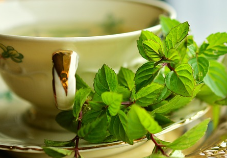 mint keeps your mouth healthy