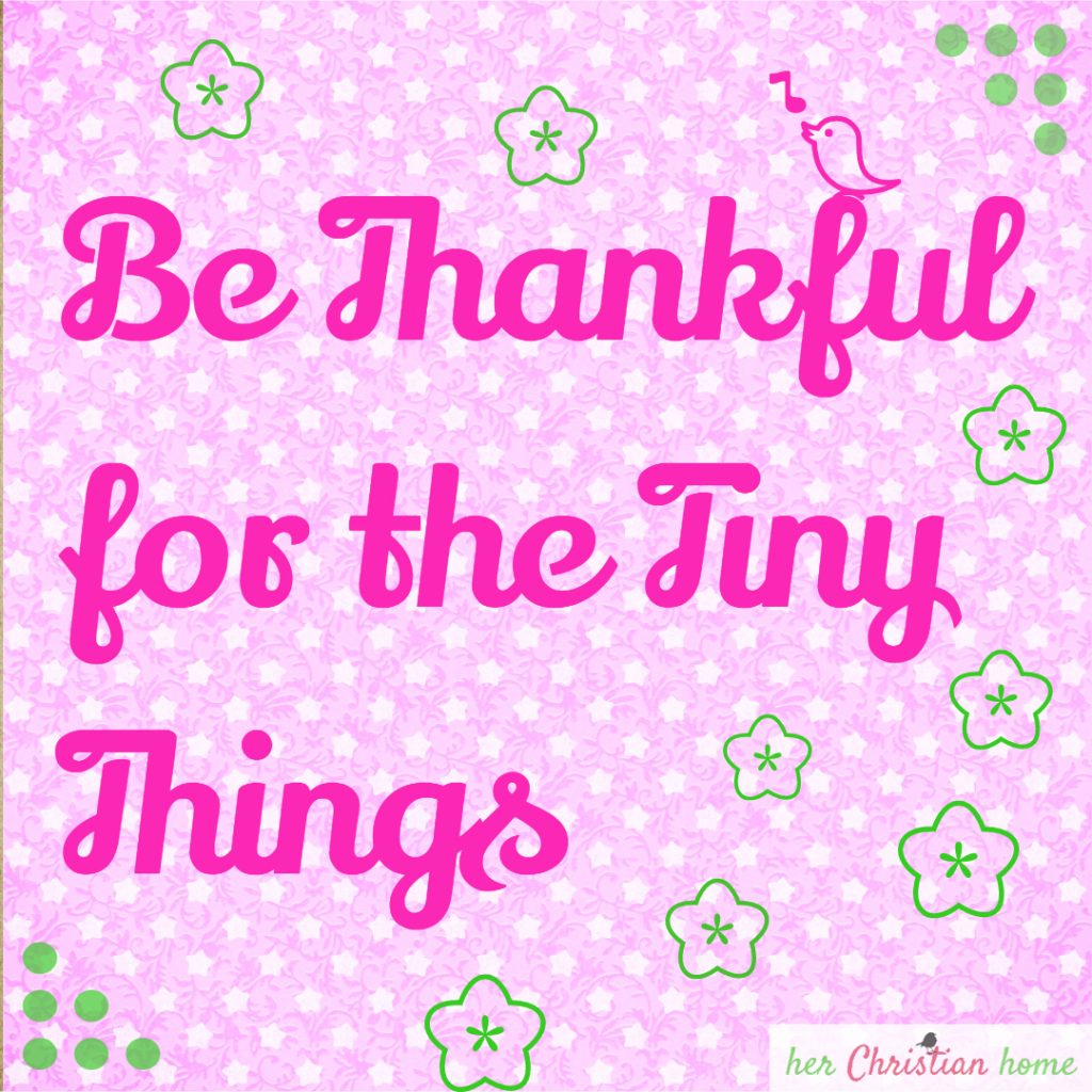 day-13-be-thankful-for-the-tiny-things-herchristianhome