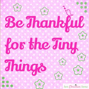 Be thankful for the tiny things