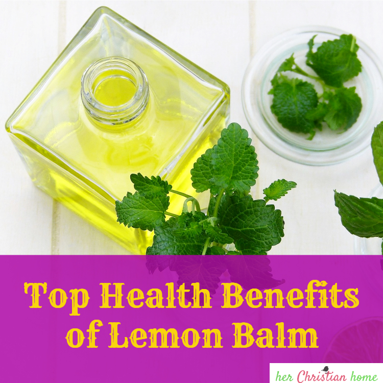 Top Health Benefits of Lemon Balm #herbs #mint #healtharticles