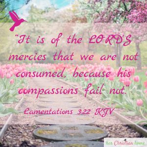 The Lords Mercies Lamentations 3 22 kjv