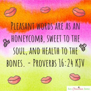 pleasant words proverbs 16:24 KJV