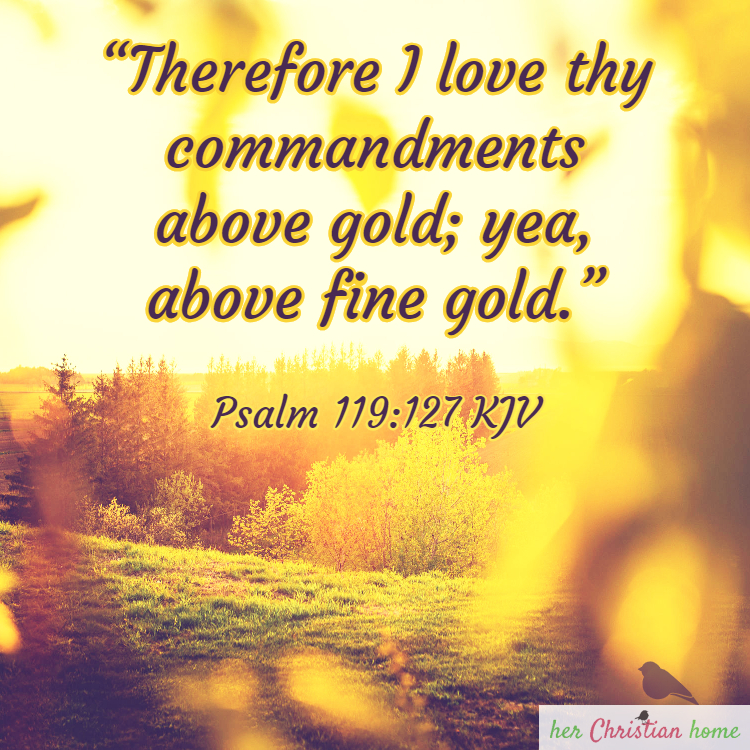 I love thy commandments Psalm 119:127 KJV #bibleverse