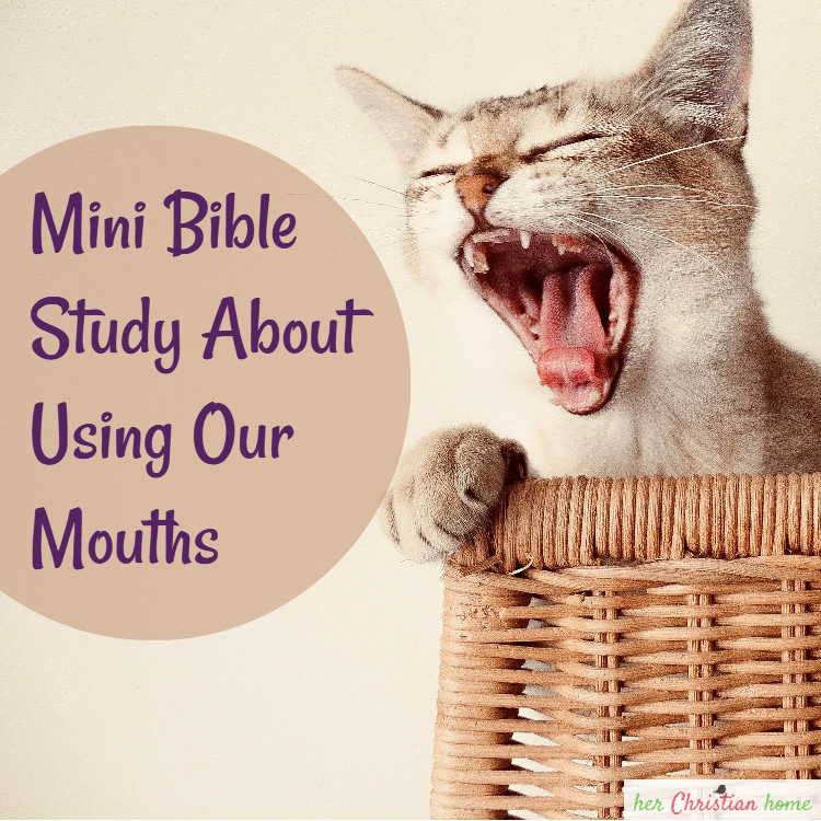 Title: Mini Bible Study About Using Our Mouths - Picture with cat yawning