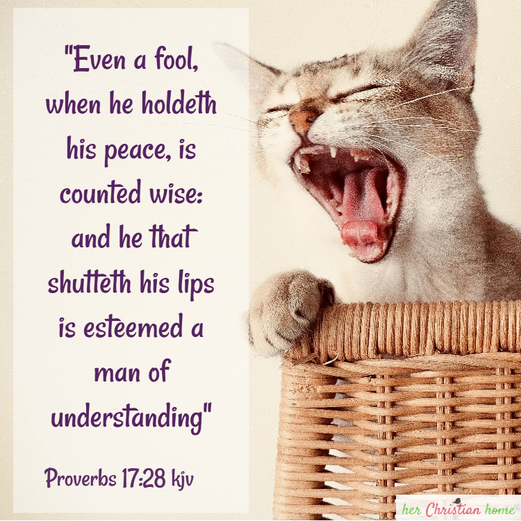 Proverbs 17:28 Even a fool, when he holdeth his peace, is counted