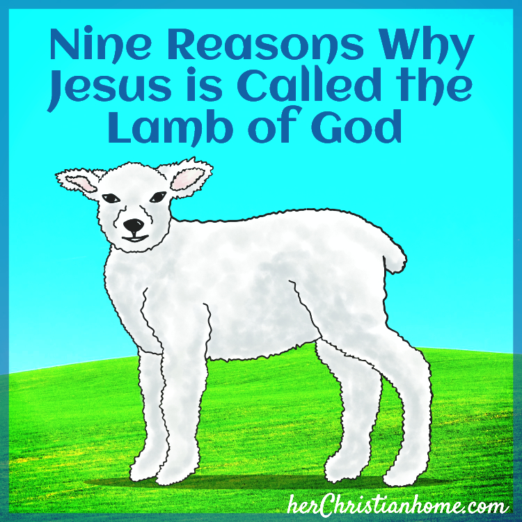 Christian devotional images: Jesus is the Lamb of God
