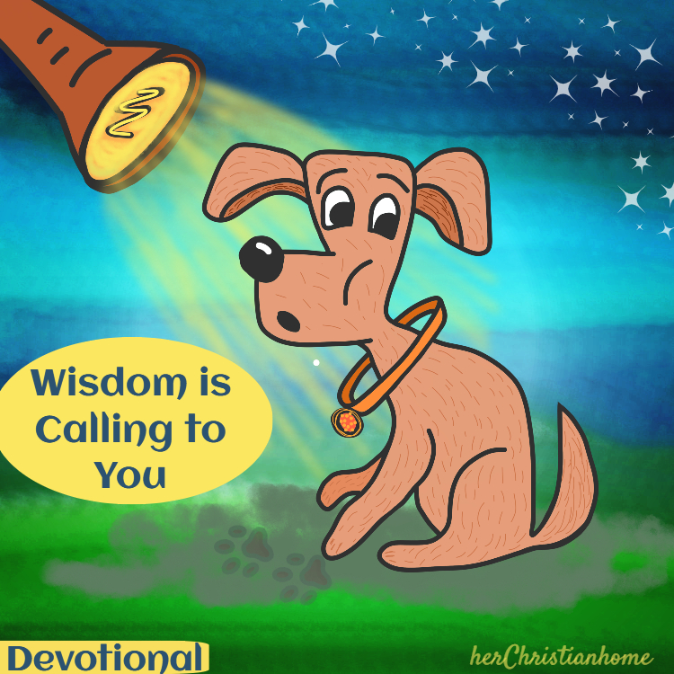 Wisdom is calling to you - devotional title image