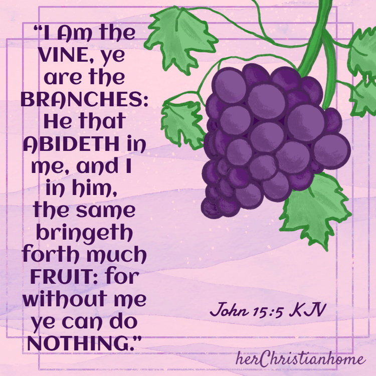 I am the vine ye are the branches john 15:5 KJV