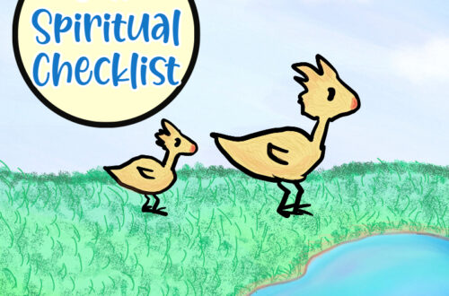 Spiritual checklist devotional